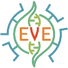 EVE